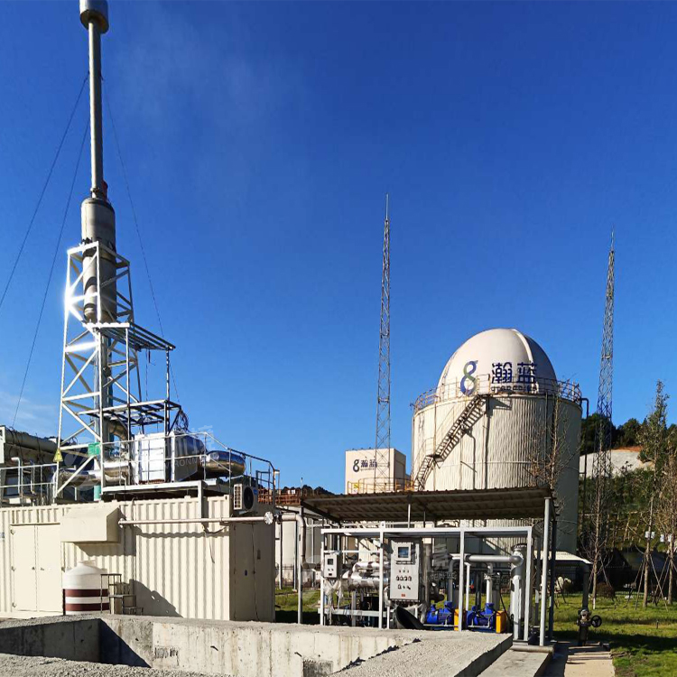 萬純SCR脫硝工程-沼氣發電機組脫硝